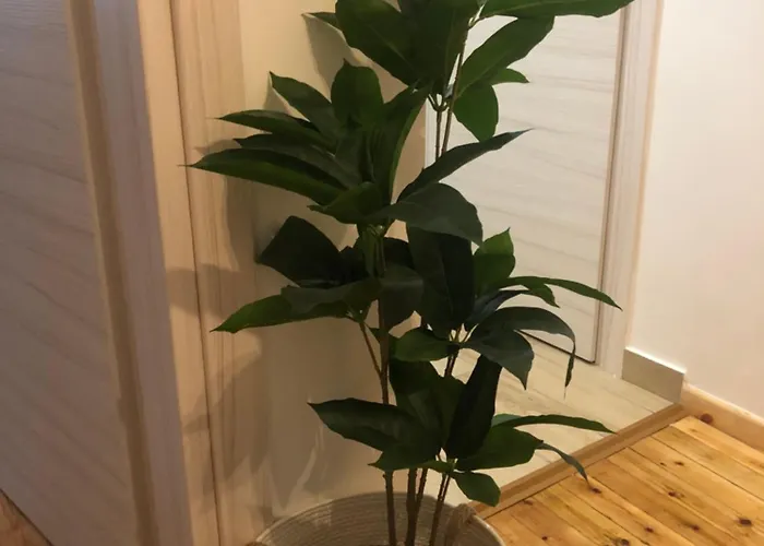 Stelios Seaside * 塞萨洛尼基