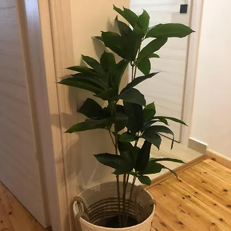 Stelios Seaside * Tesalónica